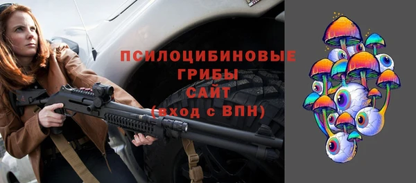 шишки Елизово