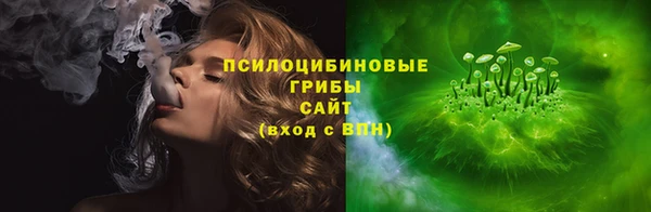герыч Ельня
