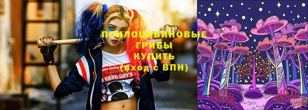 шишки Елизово