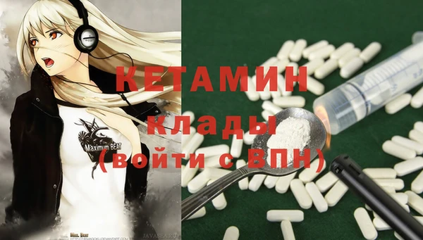 шишки Елизово