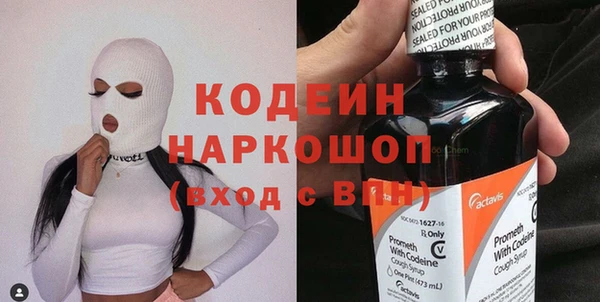 шишки Елизово