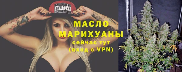 шишки Елизово