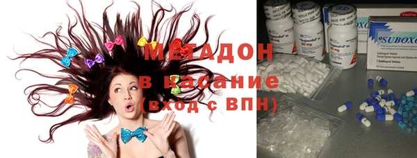 шишки Елизово