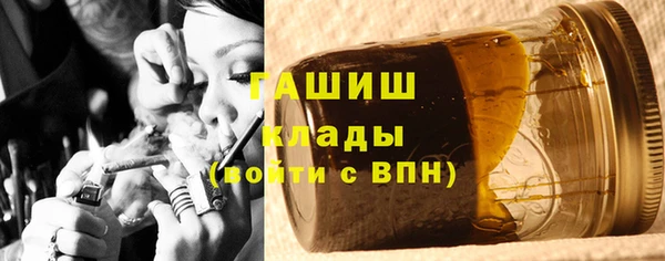 шишки Елизово